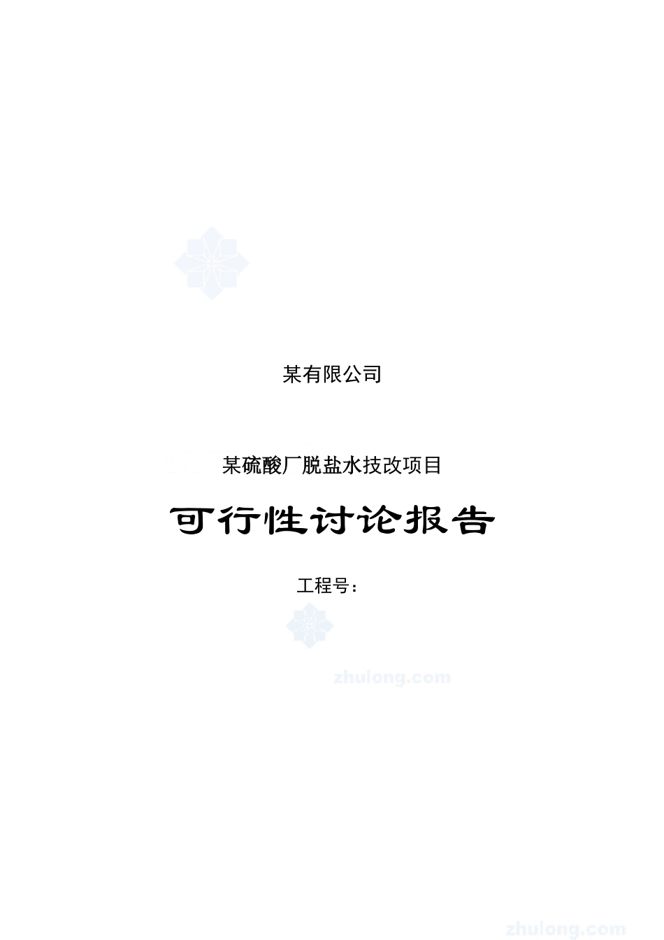 某硫酸厂脱盐水技改项目可行性研究报告_第2页