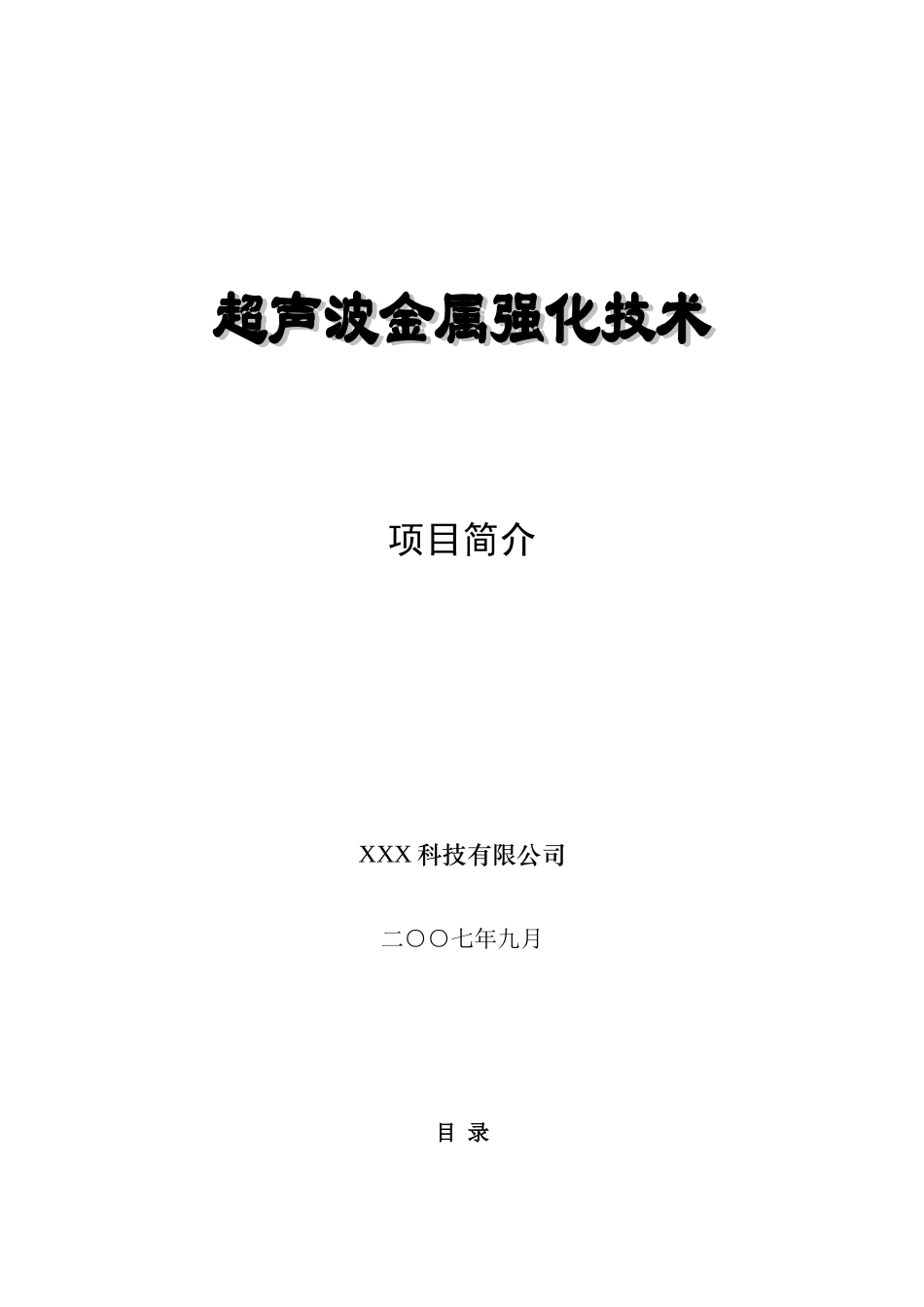某科技公司超声波金属强化高技术产业项目可行性研究报告+项目建议书_第2页
