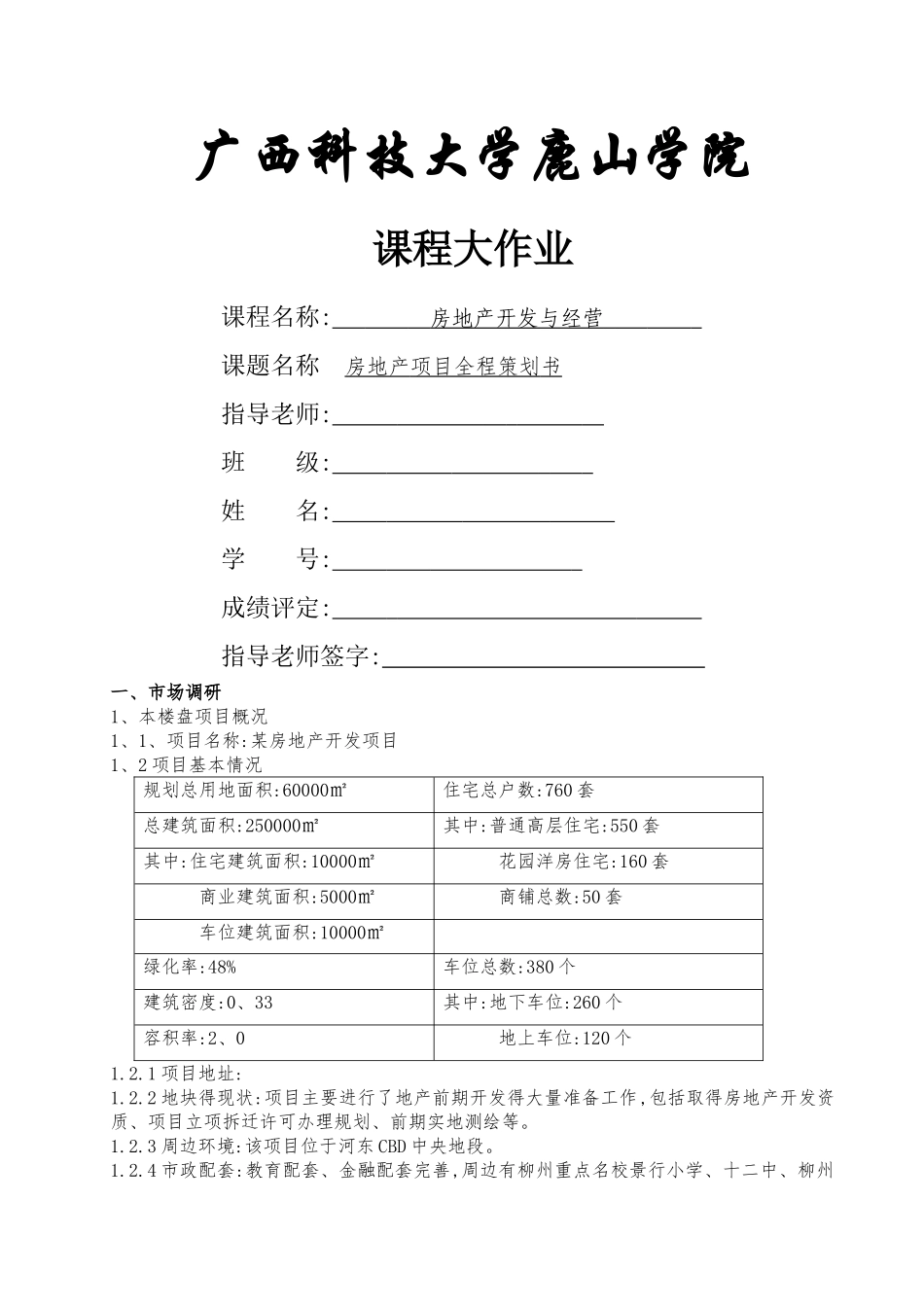 柳州某房地产开发报告_第1页