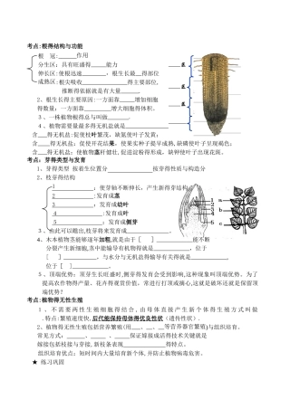 根的结构和功能芽的类型和发育