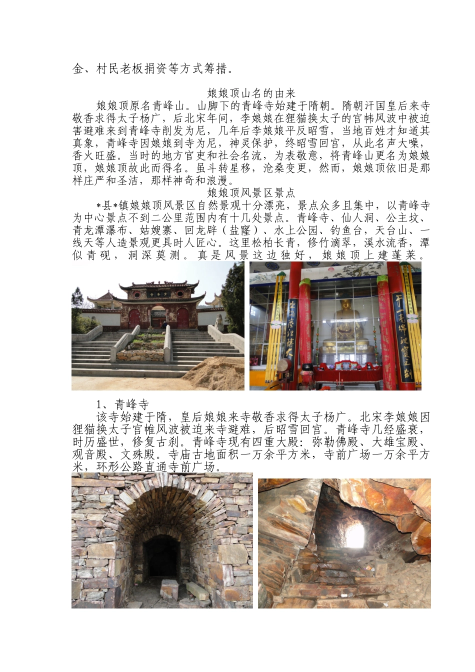 桃源村拟建绿色幸福村项目申请报告_第2页
