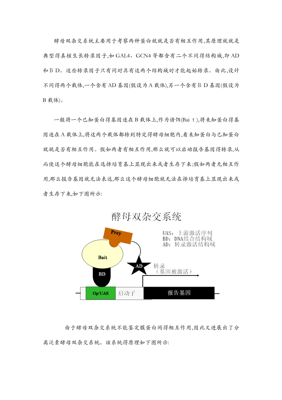 检测蛋白质与蛋白质之间相互作用的实验技术_第2页