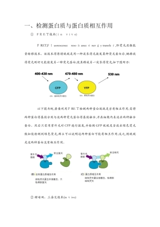 检测蛋白质与蛋白质之间相互作用的实验技术