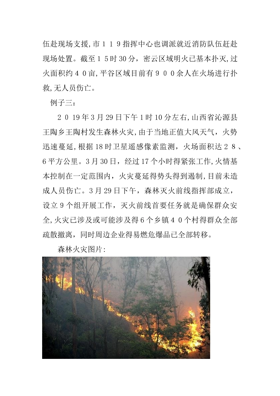 森林防火教育主题班会教案_第3页