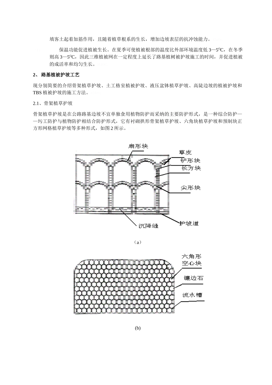 植被护坡的施工工艺_第2页