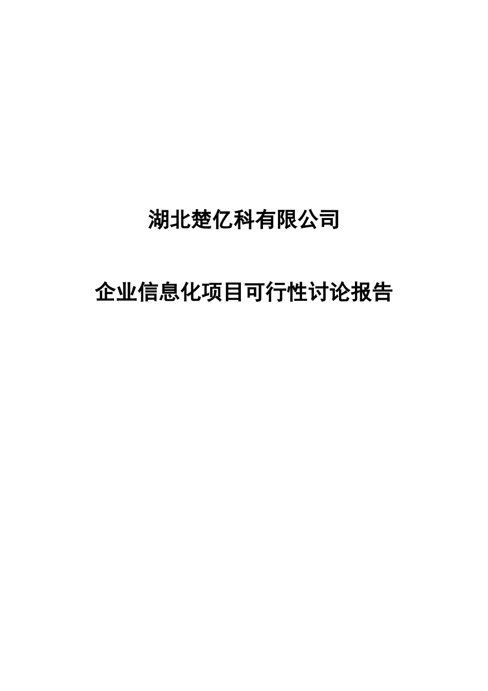 楚亿科有限公司企业信息化项目可行性研究报告_第2页