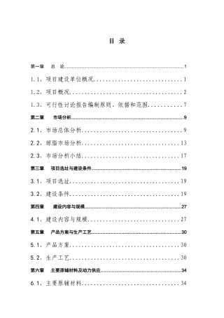 橡胶制品有限公司第二期改扩建工程资金申请报告