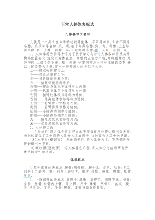 正常人体体表标志
