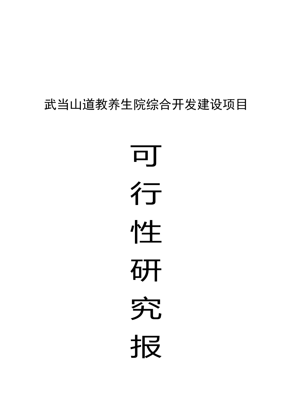 武当山道教养生院可行性研究报告_第2页