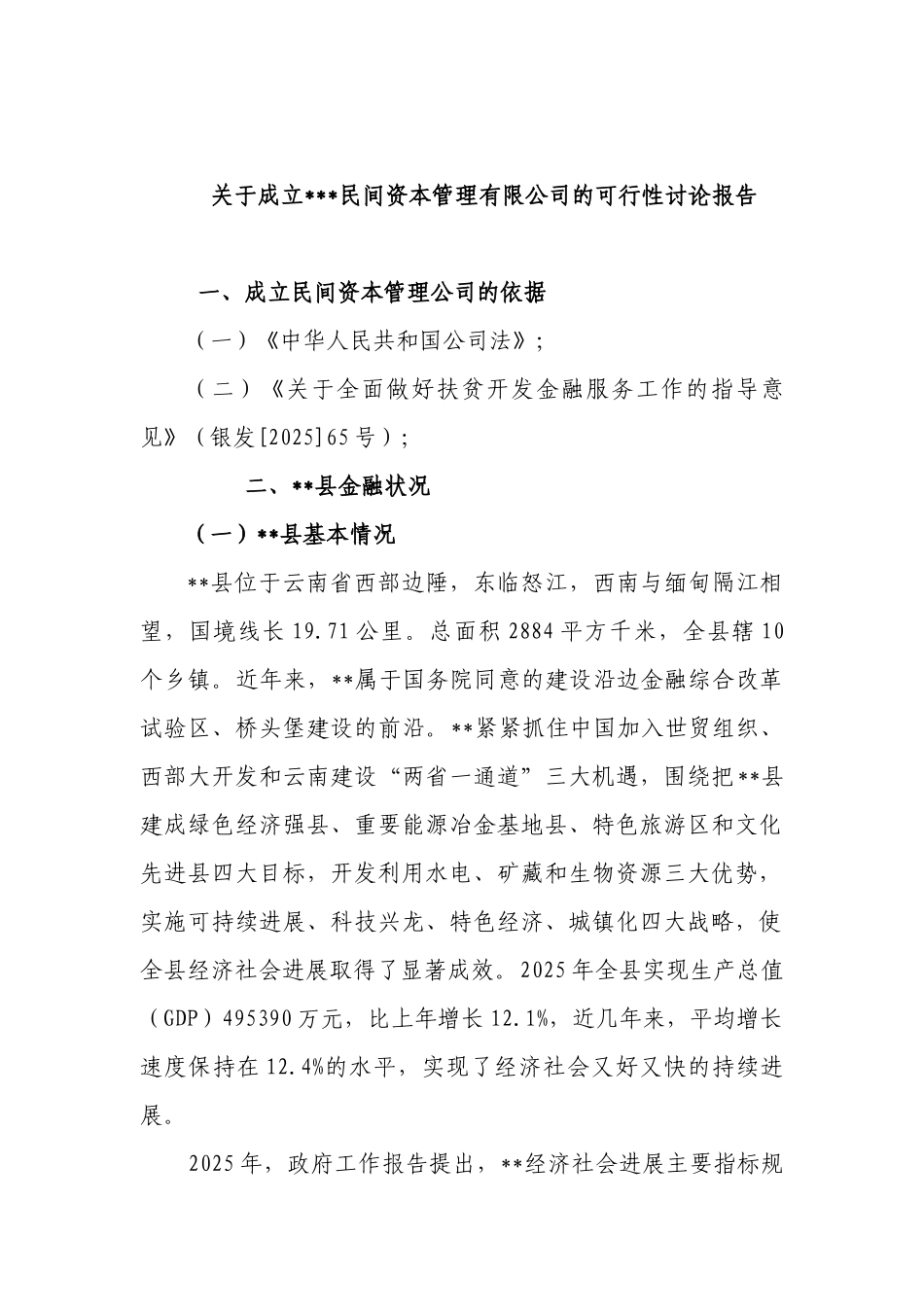 民间资本管理有限公司可行性研究报告书_第1页