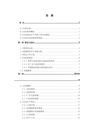 民达电镀厂清洁生产审核报告