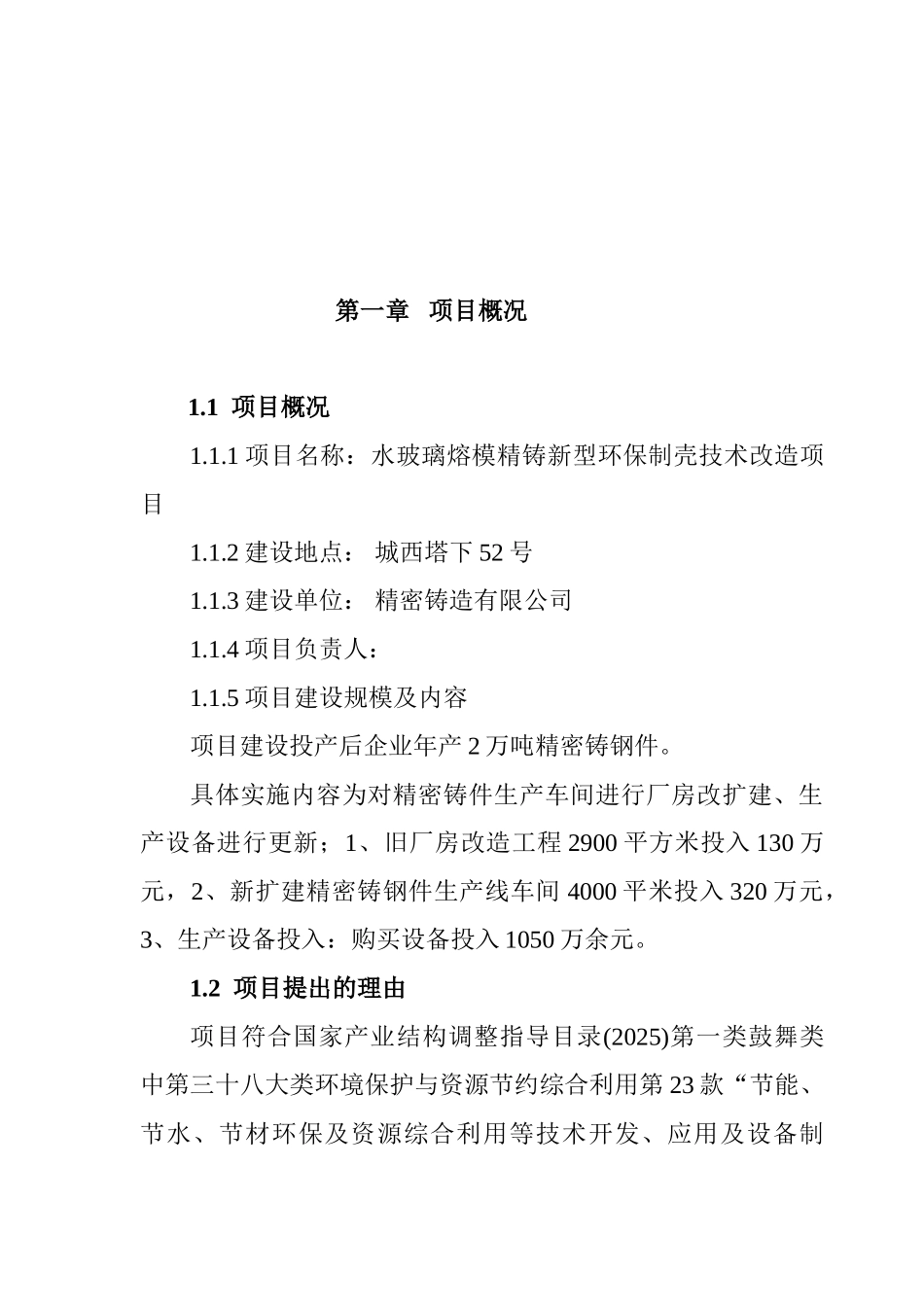 水玻璃熔模精铸新型环保制壳技术改造项目可行性研究报告_第2页