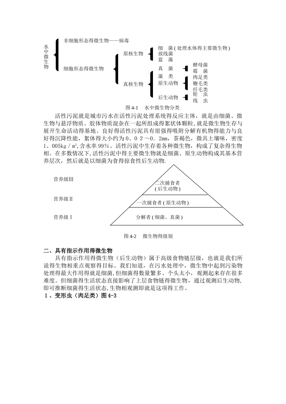 污水处理中的微生物原理_第2页