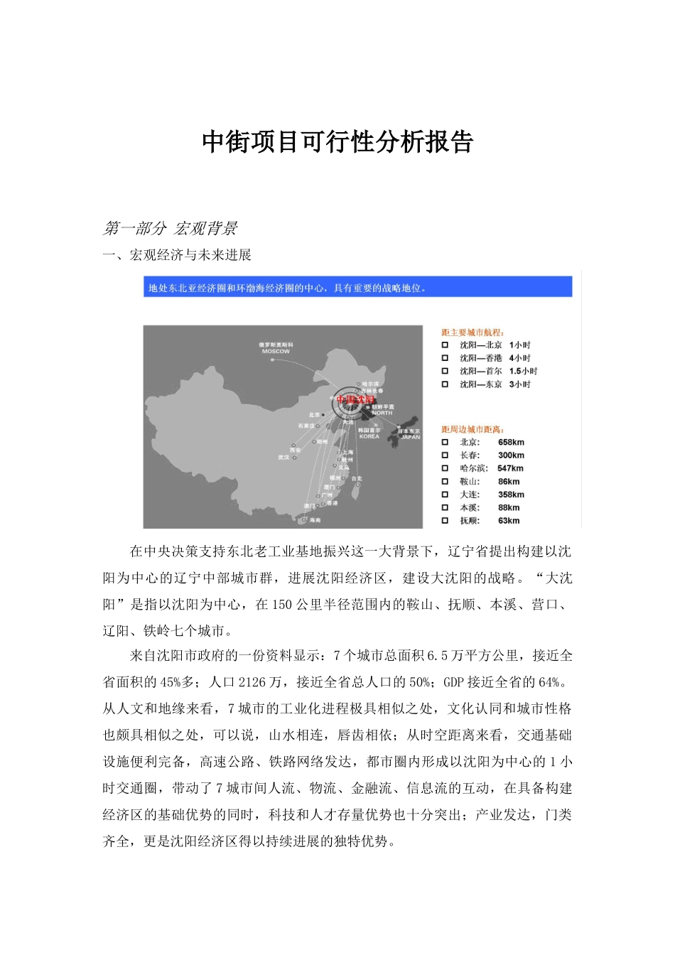 沈阳中街商圈建设项目可行性报告_第3页