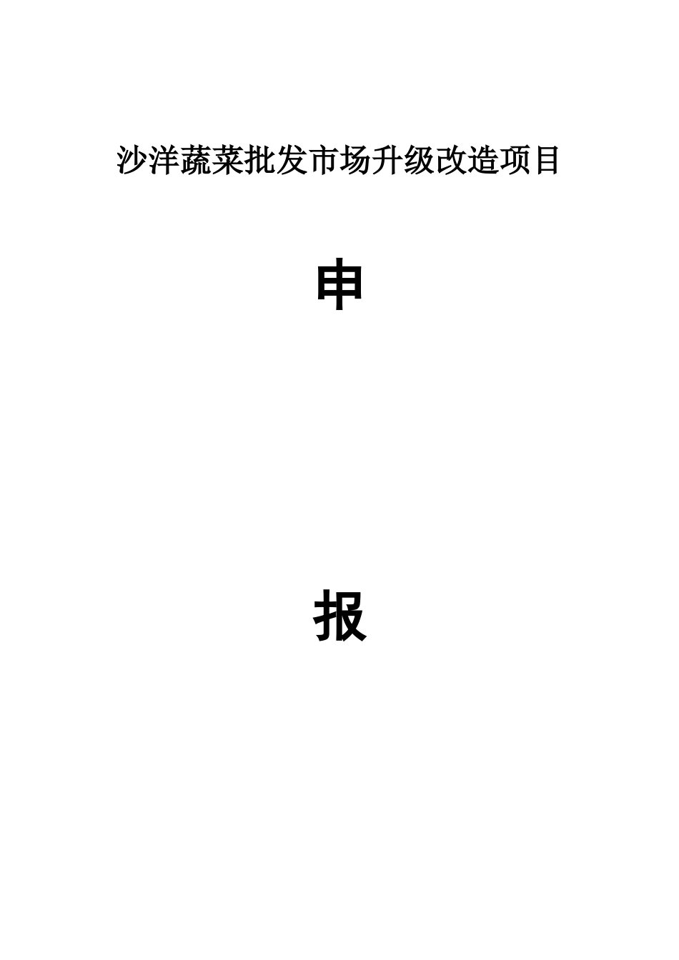 沙洋集贸市场升级改造项目申报材料_第2页
