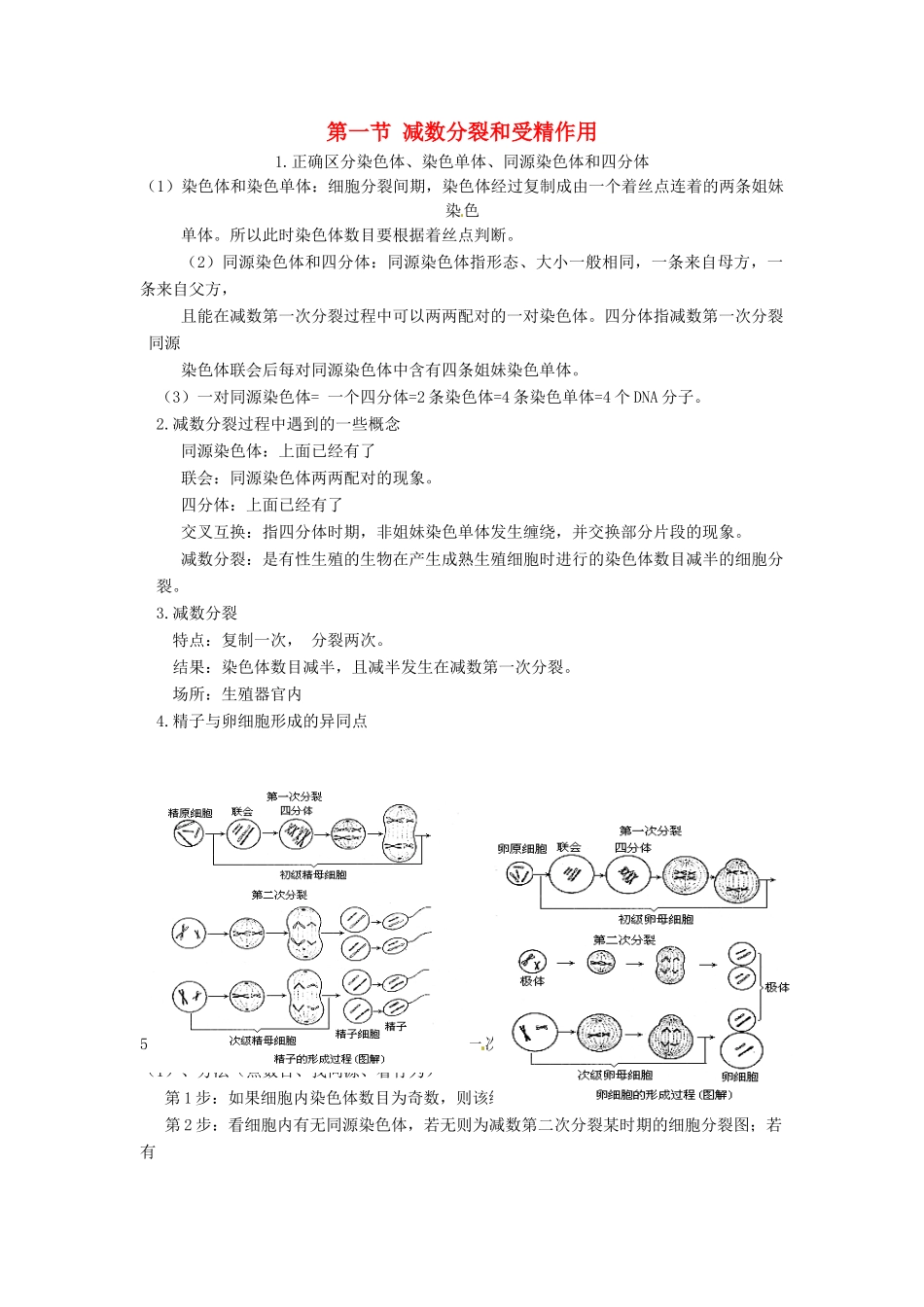 （名师课堂）2013-2014学年高中生物 第2章第1节减数分裂和受精作用（第1课时）素材 新人教版必修2_第1页