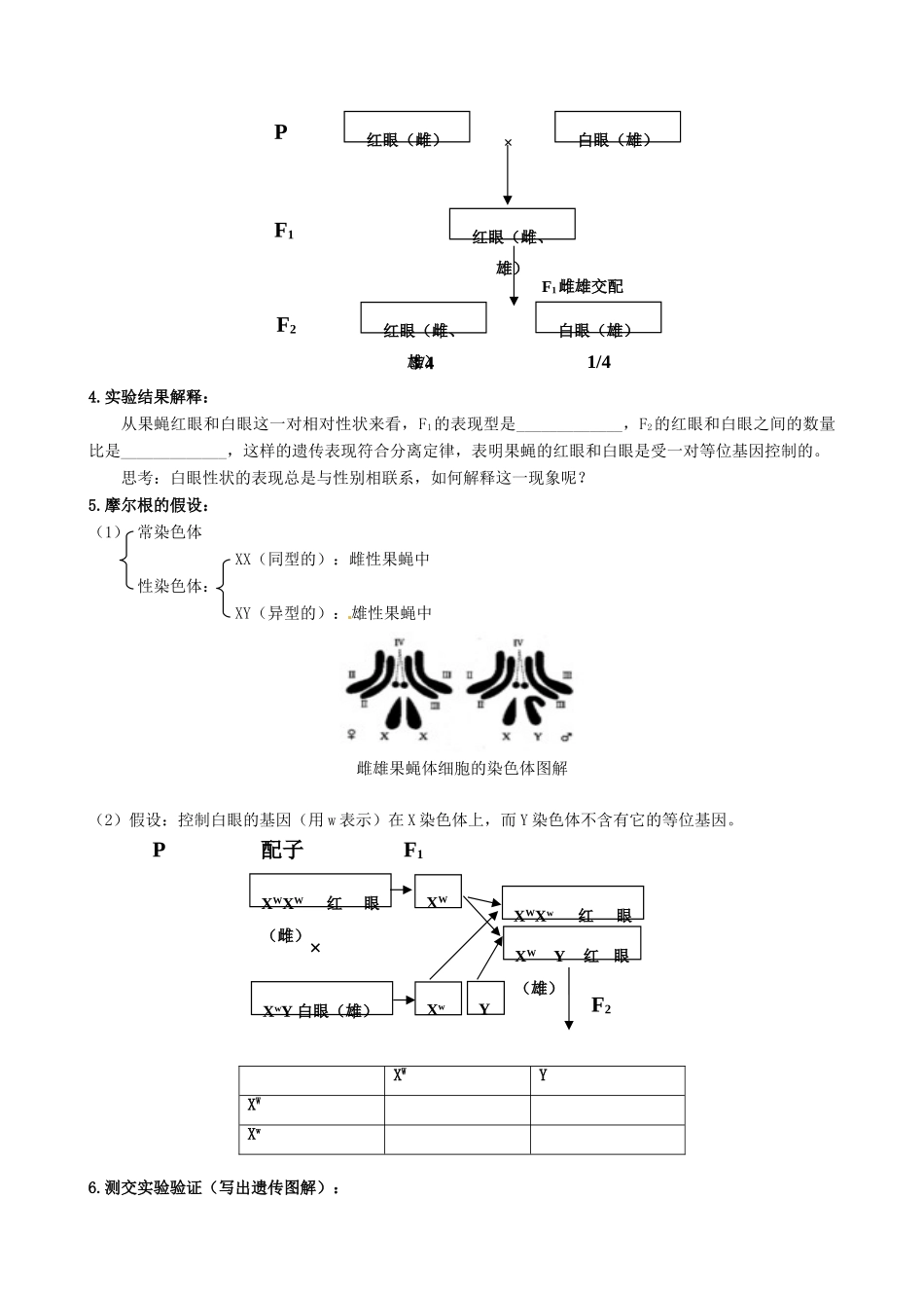 （名师课堂）2013-2014学年高中生物 第2章第2节基因位于染色体上 基因位于染色体上教案 新人教版必修2_第2页