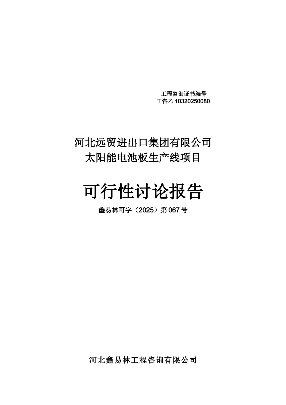 河北远贸进出口集团有限公司太阳能电池板生产线项目可行性研究报告_第2页