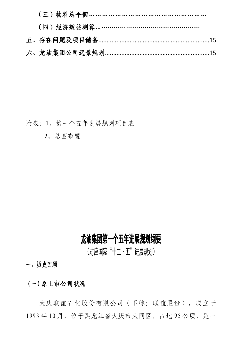 油龙集团第一个五年发展规划纲要--大学毕设论文_第3页