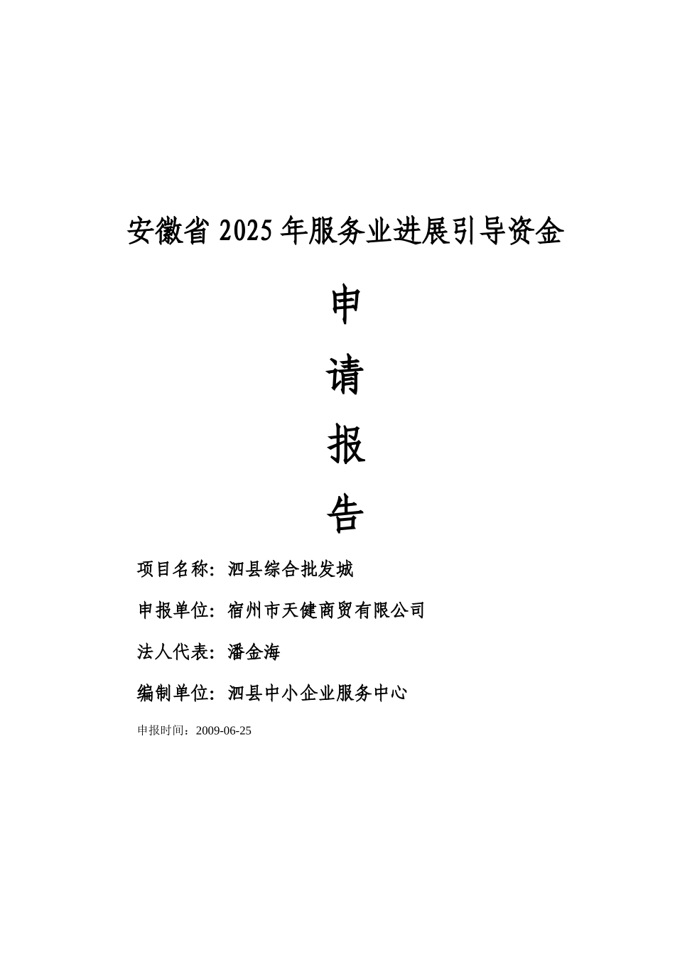 泗县综合批发城项目资金可行性研究报告_第2页