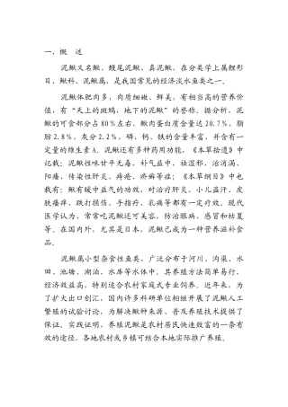 泥鳅养殖技术科学养殖