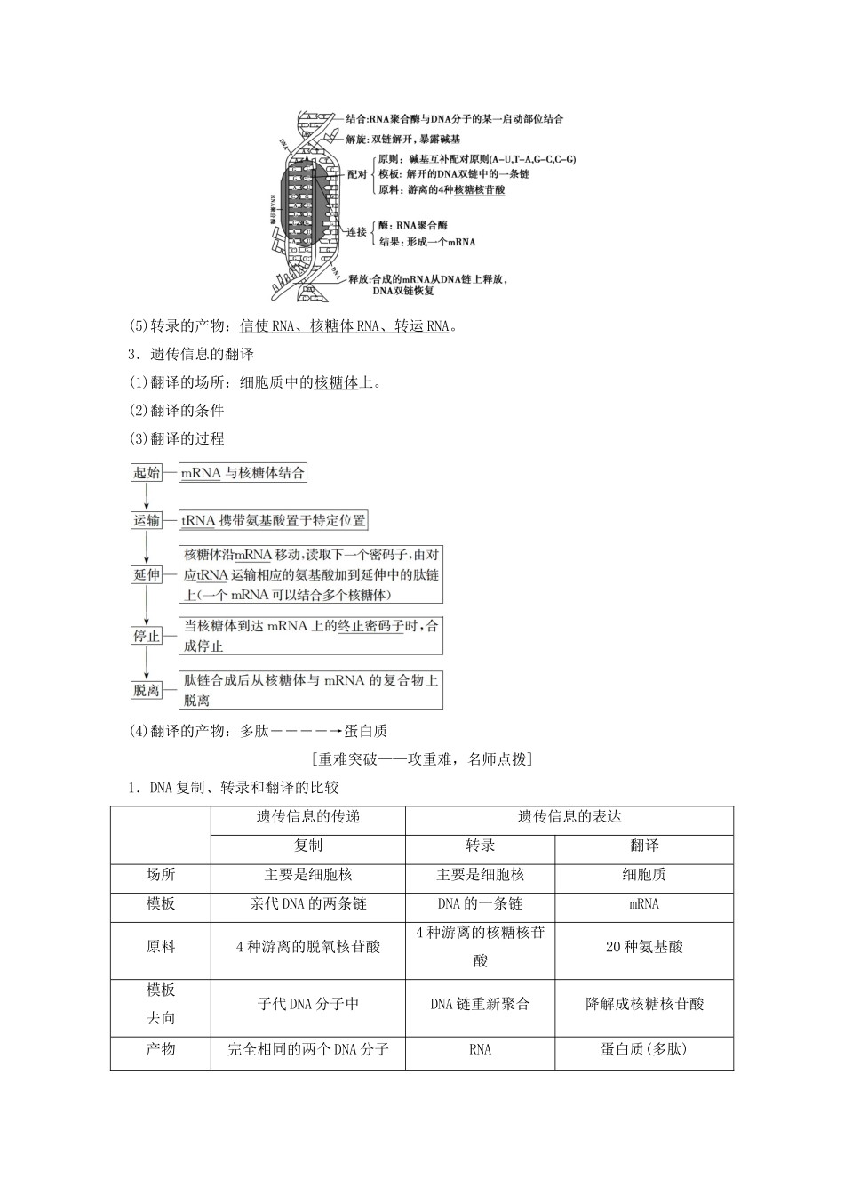 （新课标）高考生物一轮总复习 第5单元 第3讲 基因的表达教案-人教版高三全册生物教案_第2页