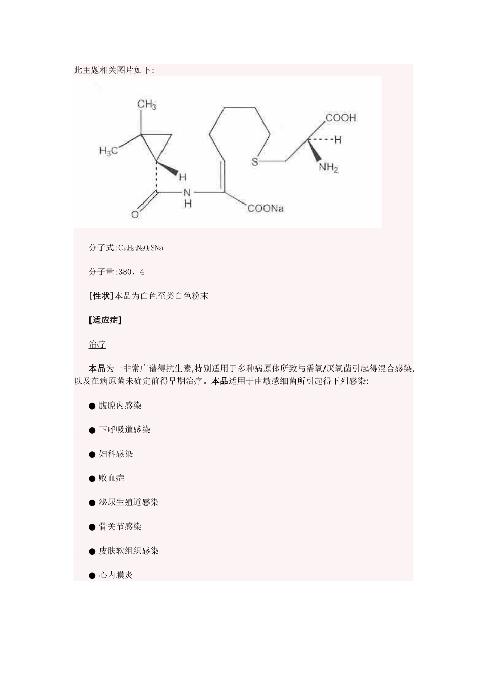注射用亚胺培南西司他丁钠说明书_第2页