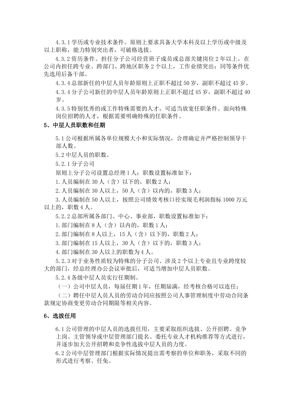 中层管理人员管理制度_第2页