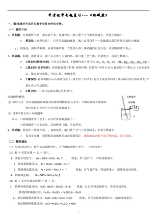 中考化学专题复习---《酸碱盐》