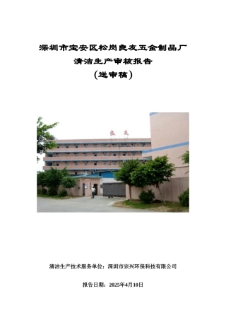 深圳市良友五金制品厂清洁生产审核报告