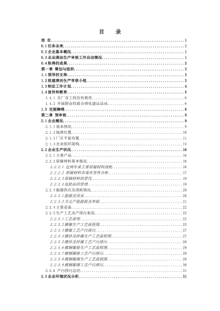 深圳市龙岗区龙岗同乐港安电镀制品厂清洁生产审核报告