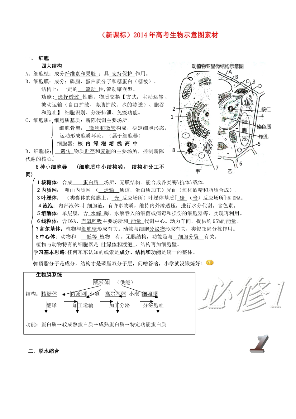 （新课标）2014年高考生物示意图素材_第1页