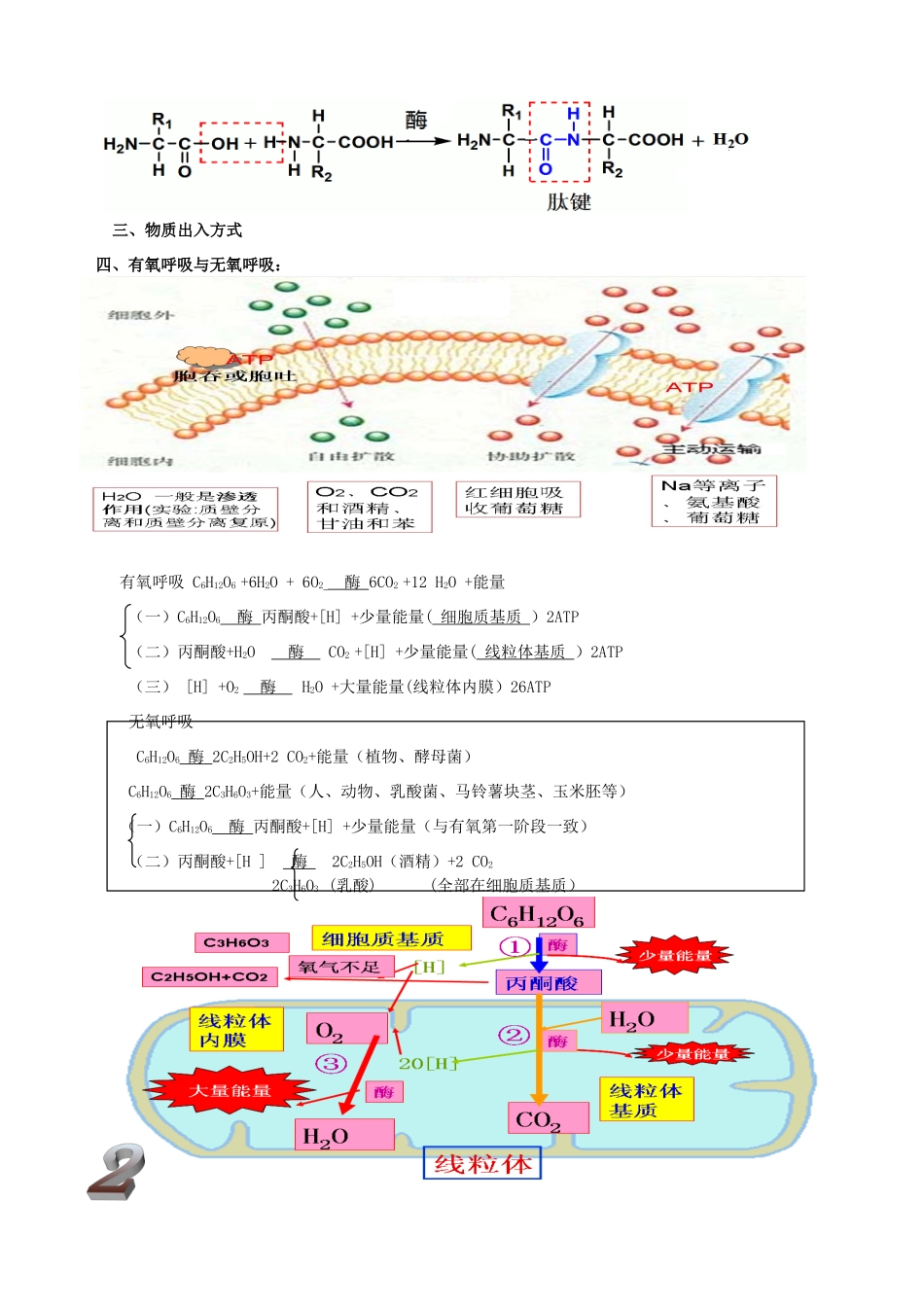 （新课标）2014年高考生物示意图素材_第2页