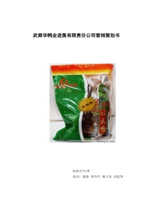 湖南临武舜华鸭业营销策划本科学位论文