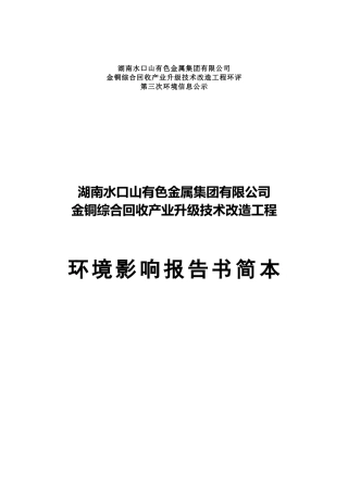 湖南水口山有色金属集团有限公司金铜综合回收产业升级技术改造工程环境影响报告书