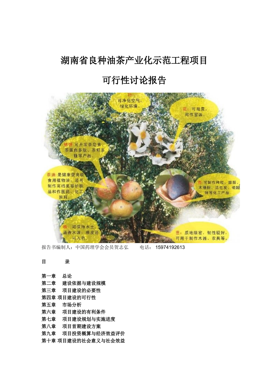 湖南省良种油茶产业化示范工程项目可行性研究报告_第2页