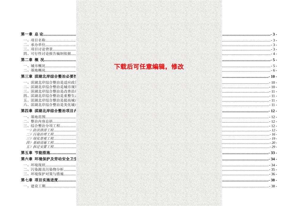 滨岸综合整治项目可行性研究报告_第2页