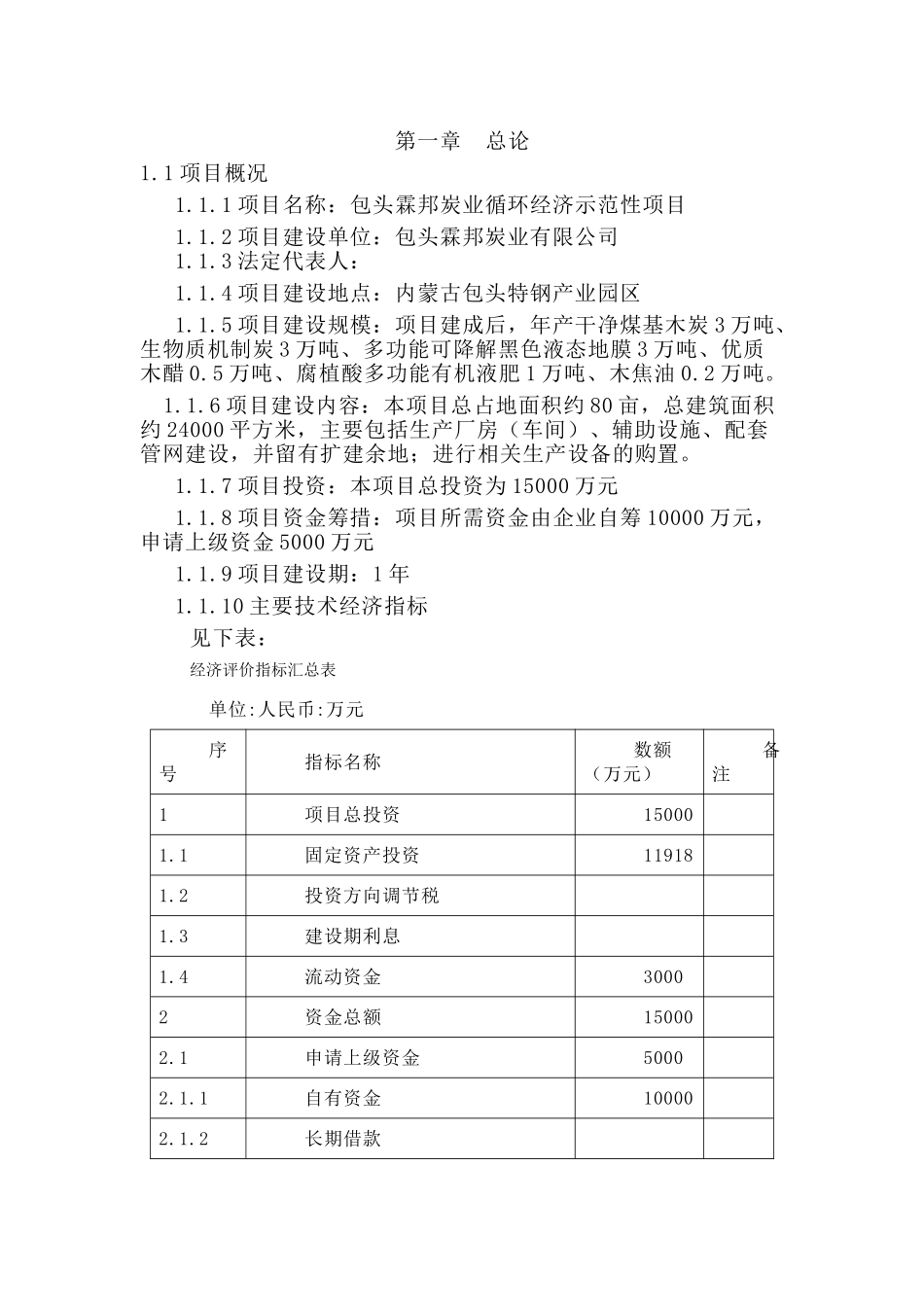 炭业循环经济示范性项目可行性研究报告书_第3页