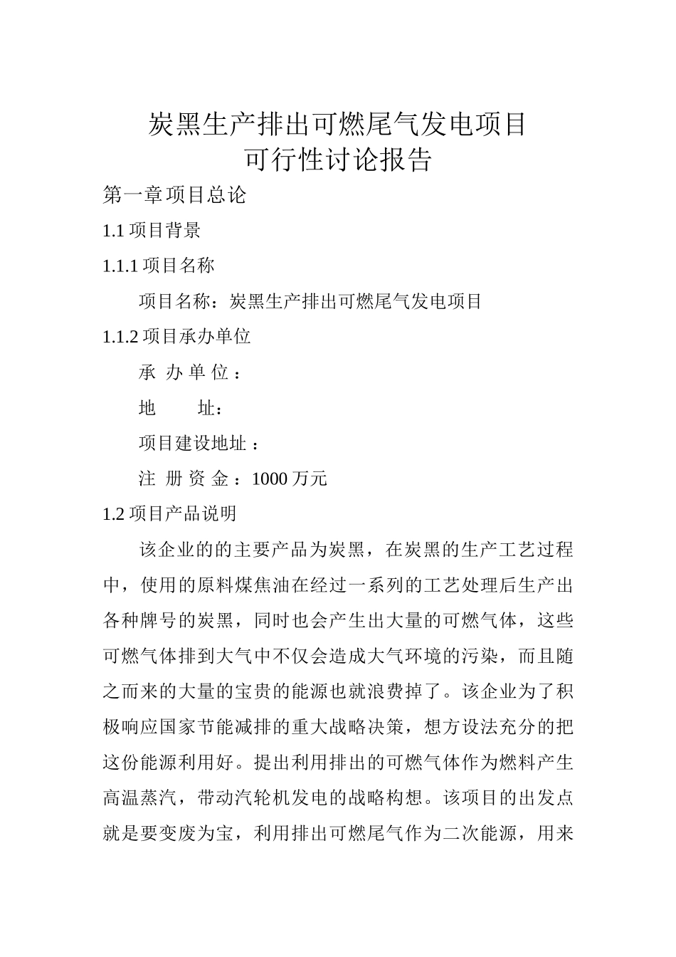 炭黑生产排出可燃尾气发电项目可行性研究报告报告_第2页