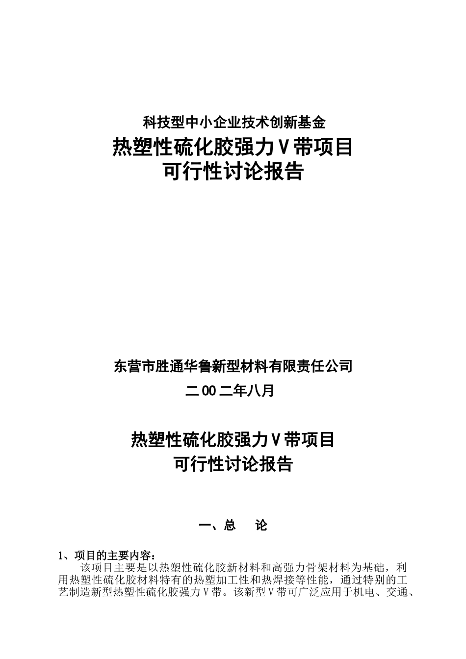 热塑性硫化胶强力V带项目可研报告_第1页