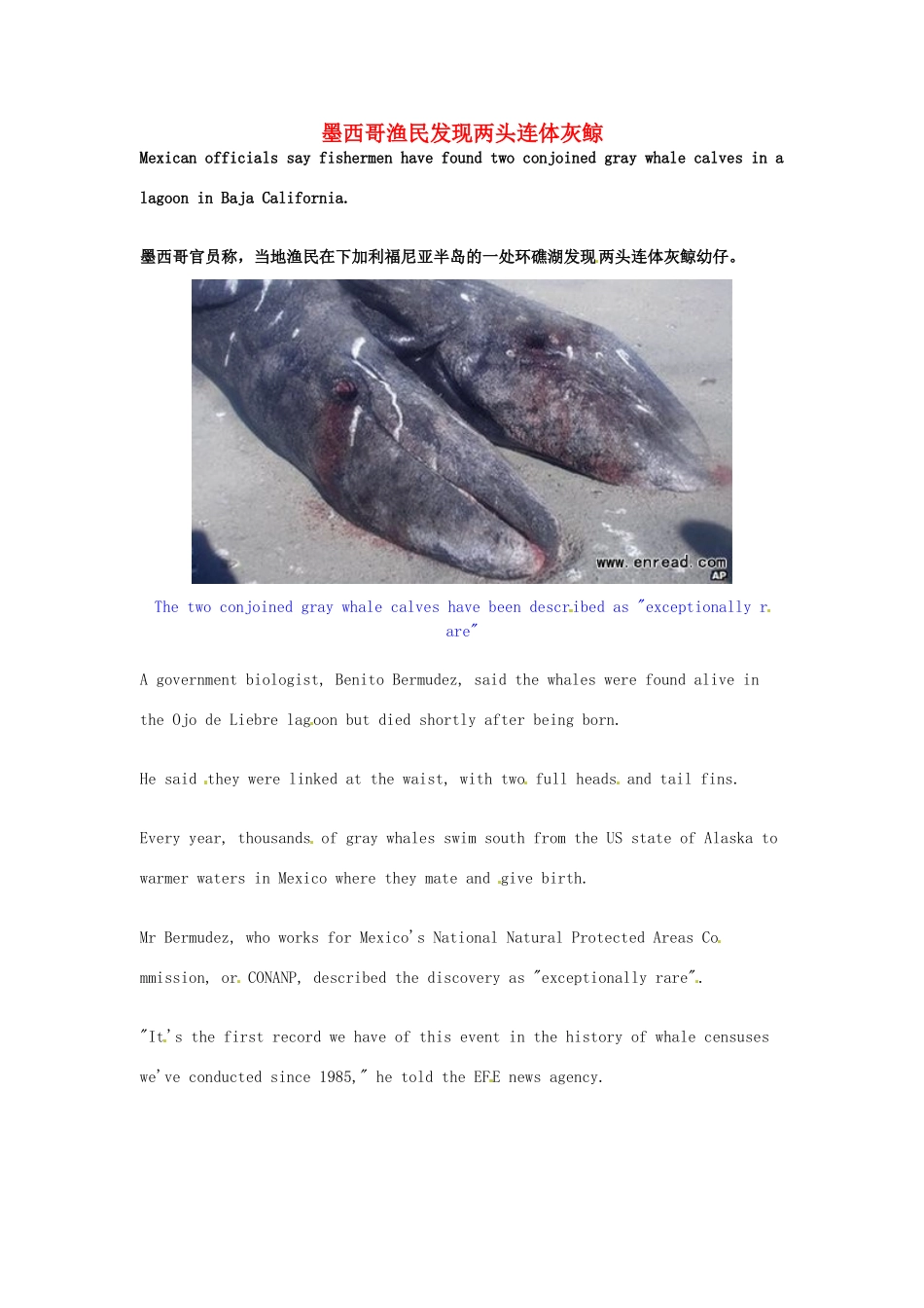 （每日一读）2014年1月高考英语考前突破 阅读理解能力 社会生活 墨西哥渔民发现两头连体灰鲸_第1页