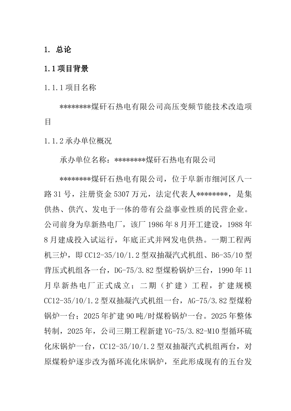 煤矸石热电有限公司高压变频节能技术项目可行性研究报告_第3页