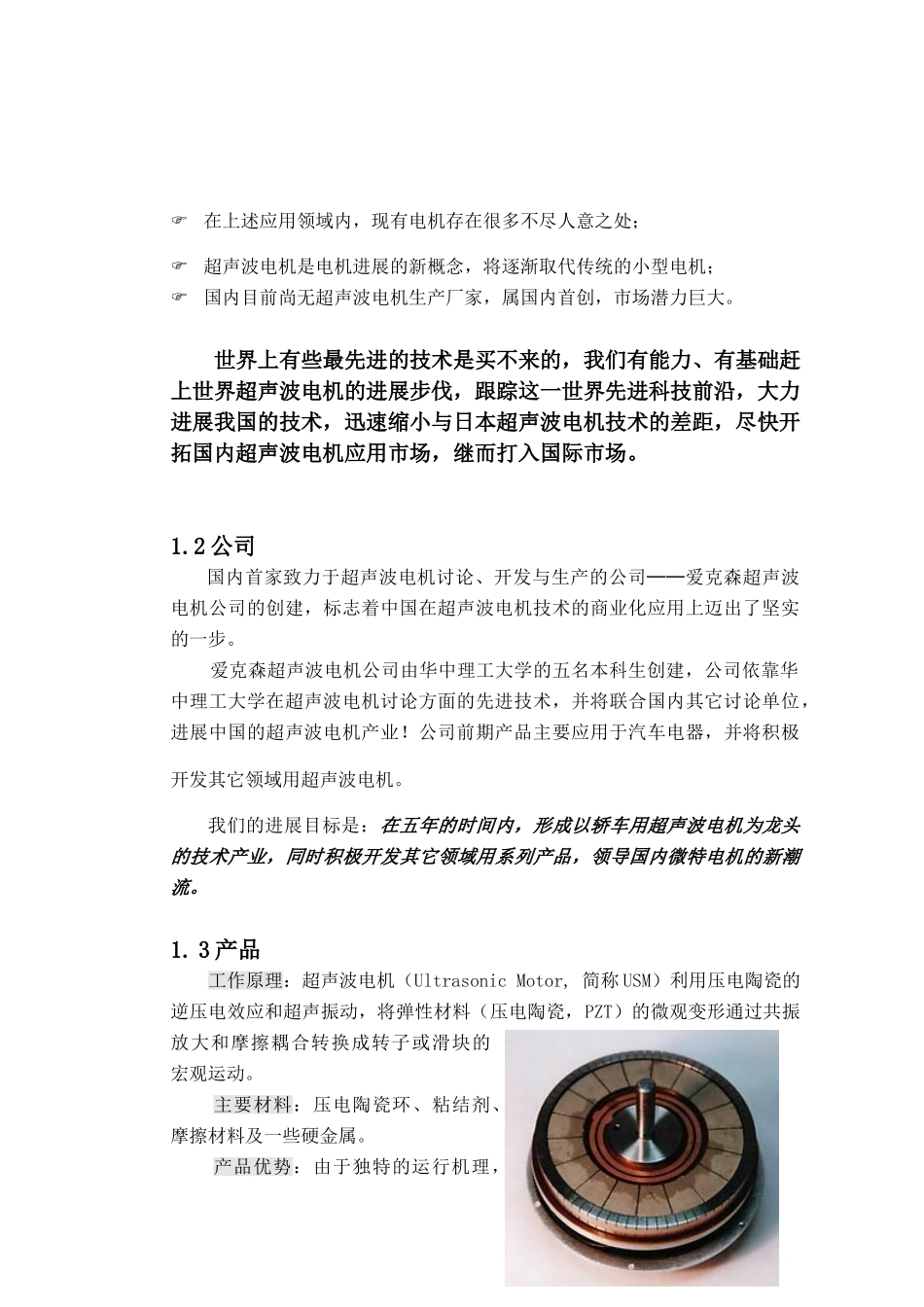 爱克森超声波电机公司创业计划书_第2页