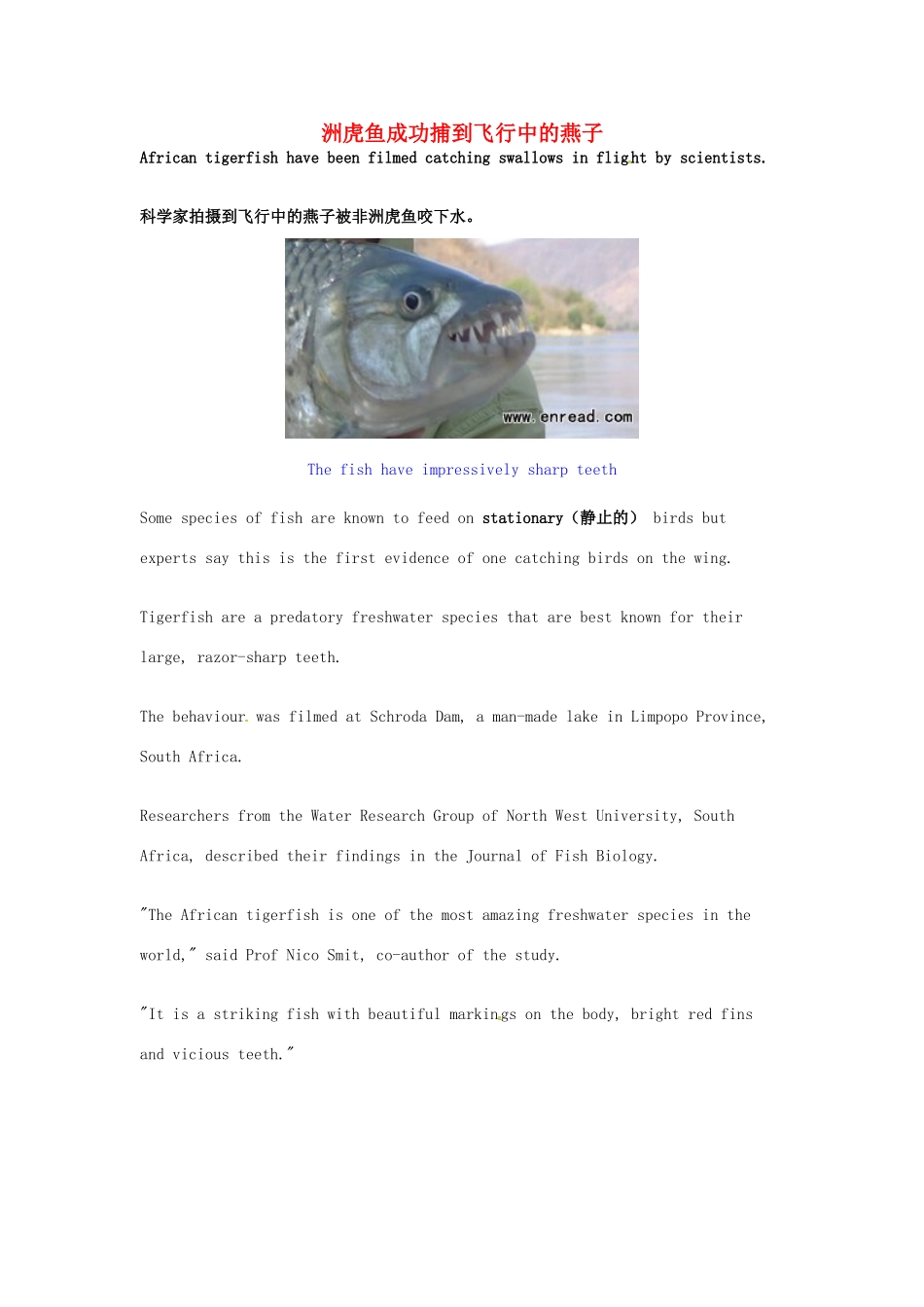 （每日一读）2014年1月高考英语考前突破 阅读理解能力 文化教育 洲虎鱼成功捕到飞行中的燕子_第1页