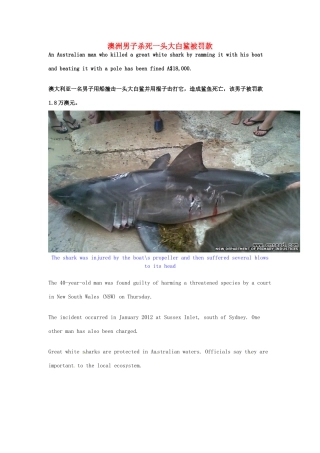（每日一读）2014年2月高考英语考前突破 阅读理解能力 社会生活 澳洲男子杀死一头大白鲨被罚款