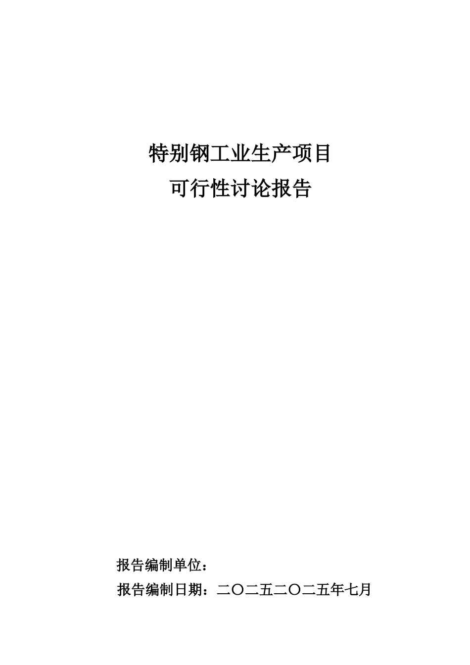 特殊钢工业项目可行性研究报告_第2页