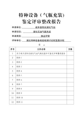 特种设备鉴定评审整改报告