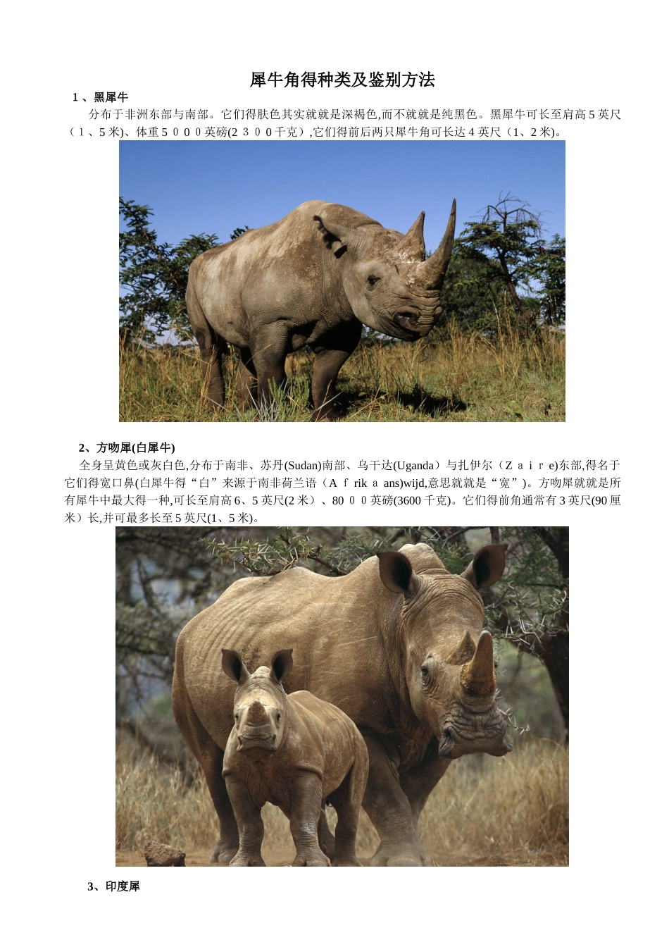 犀牛角的种类及鉴别方法_第1页