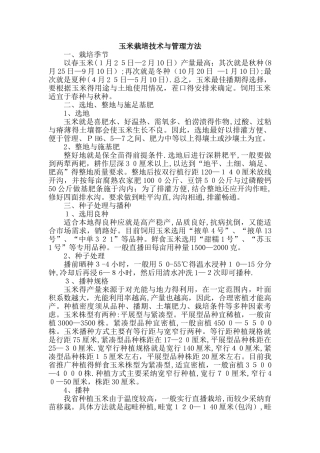 玉米栽培技术和管理方法