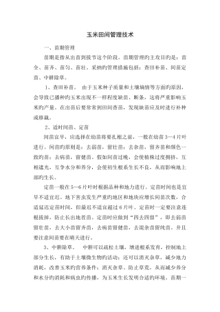玉米田间管理技术